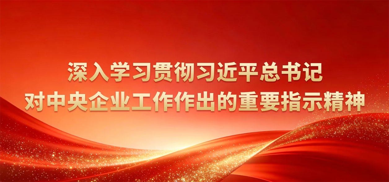深刻学习贯彻习近平总书记对中央企业工作作出的重要批示心灵